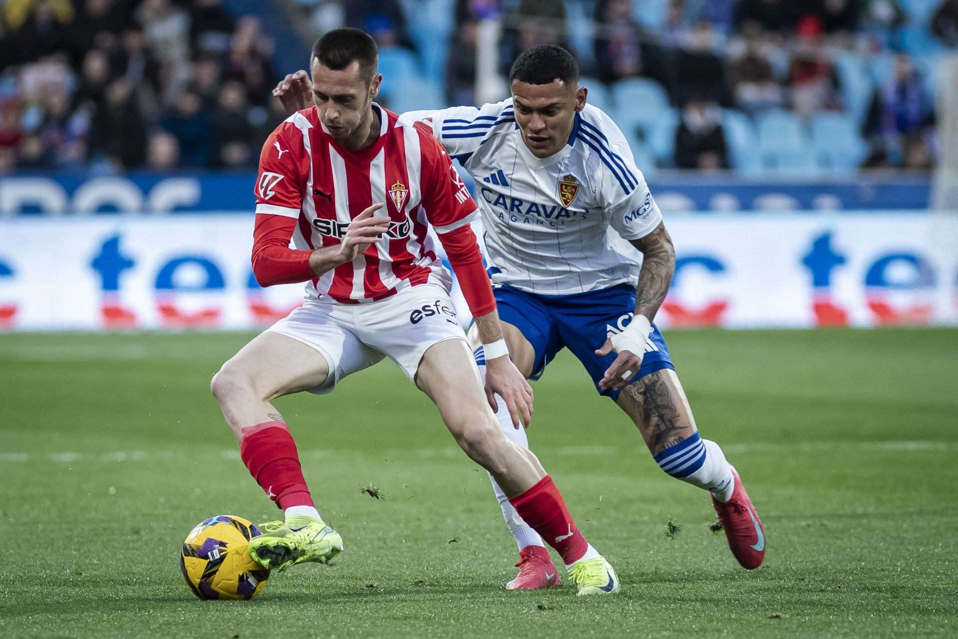 Las mejores imágenes del Zaragoza y Sporting de Gijón