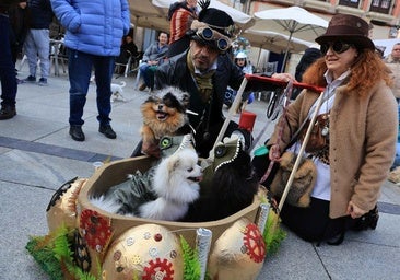 Las mascotas, de trogloditas a astronautas