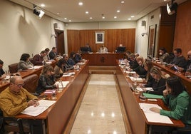 El Pleno del Ayuntamiento de Avilés dio al comienzo del mandato el visto bueno a los cargos de confianza.