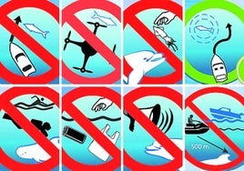 Recomendaciones para navegar en presencia de cetáceos