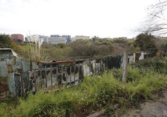 Las huertas están entre los barrios de El Nodo y Jardín de Cantos.