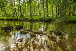 Digitalización y concienciación, claves para la gestión sostenible del agua