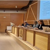 Belarmina Díaz, en el centro de la mesa, durante la junta de gobierno de Cogersa celebrada este jueves.