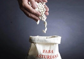 Momentos antes de iniciarse la charla sobre la faba asturiana organizada por Coag.