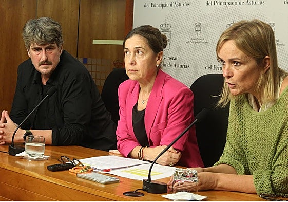 Xabel Vegas, Dolores Carcedo y Covadonga Tomé, durante la presentación de la iniciativa parlamentaria.