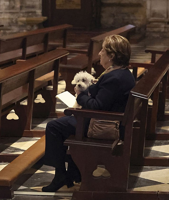 Imagen secundaria 2 - Asistentes a la charla cuaresmal en la Catedral, entre los que no faltó una señora con su mascota.