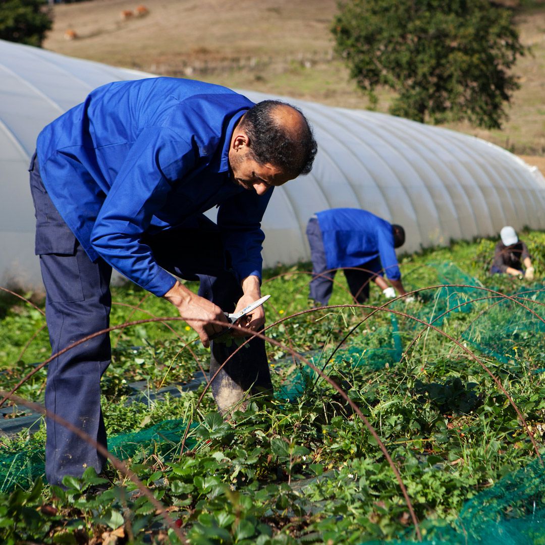 EDP Energía Solidaria: 10 años de compromiso social
