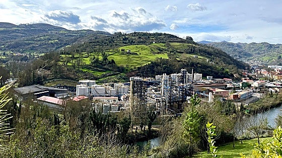 Química del Nalón, transformación, crecimiento y diversificación