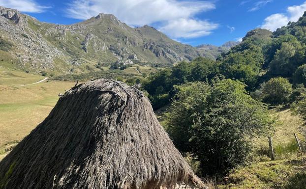 Las brañas somedanas y el salvaje paisaje del Parque Natural de Somiedo serán el territorio para 3 rutas de distinto nivel que partirán del pueblo de Arbeyales y tendrán la braña de Ordiales como punto de encuentro.