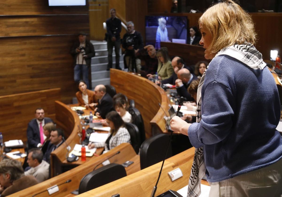 La diputada del grupo mixto, Covadonga Tomé, esta mañana en la Junta.