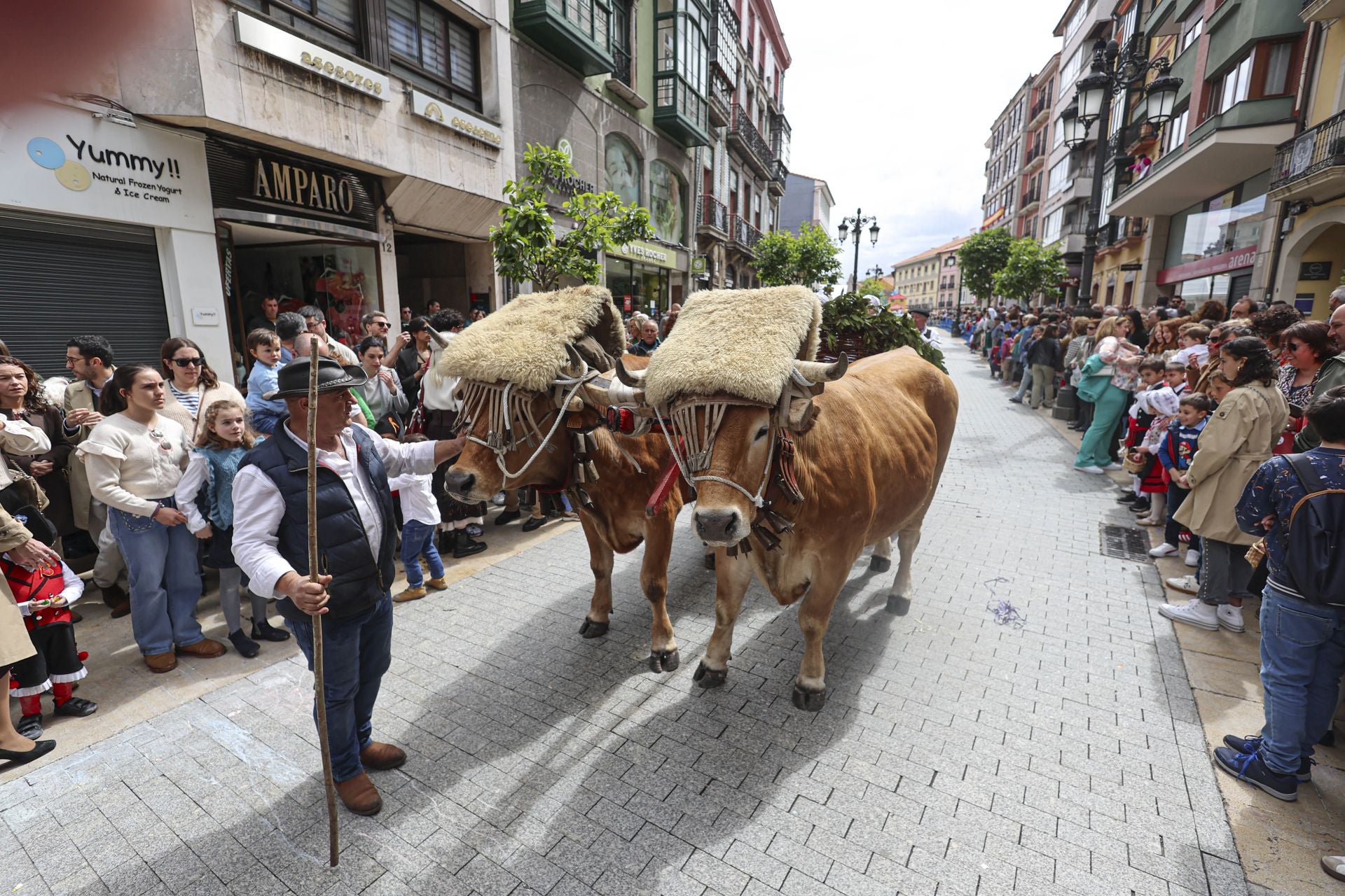 Todas las fotos del desfile de carrozas de las fiestas de El Bollo de Avilés 2025