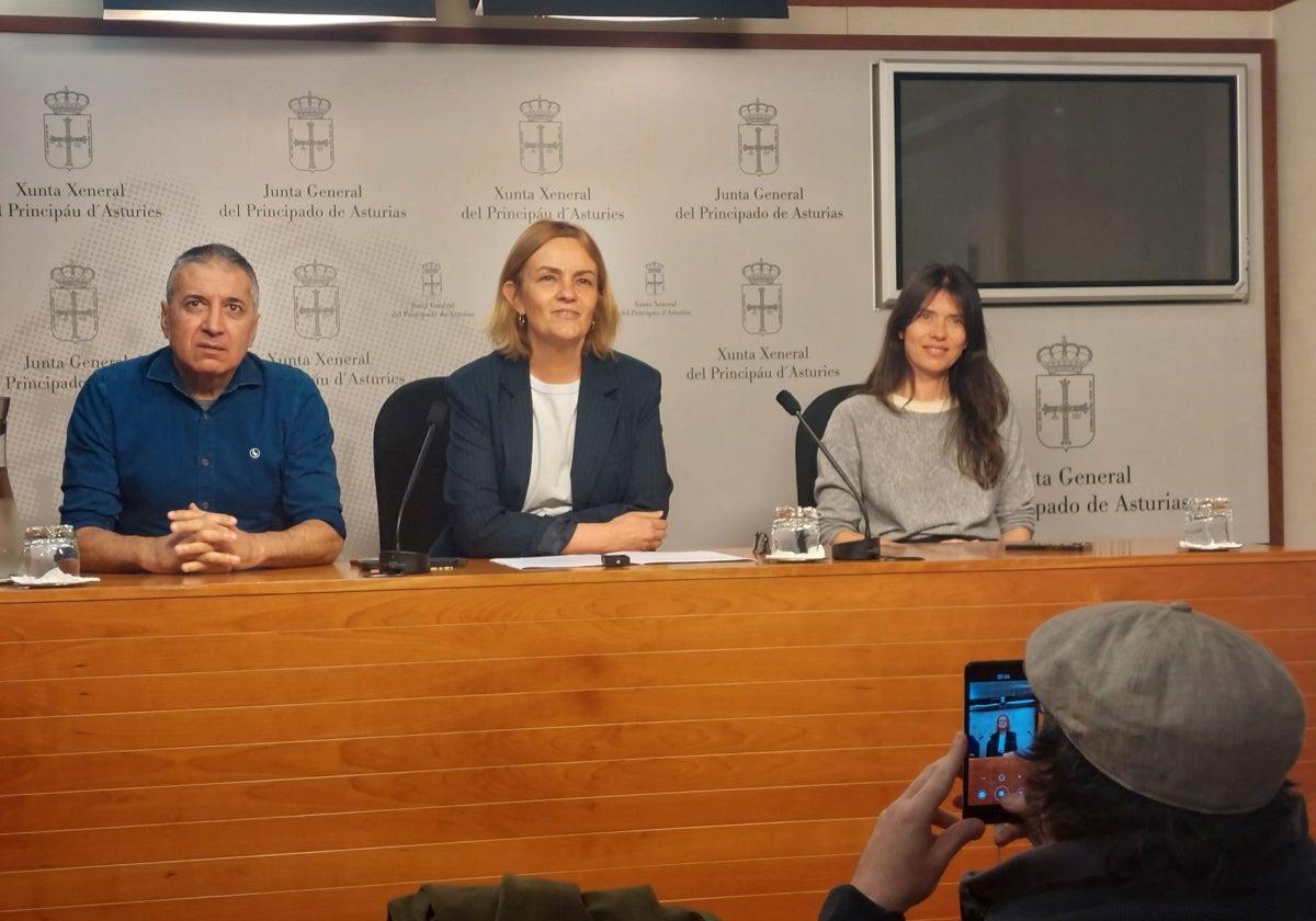 Covadonga Tomé desoye al PSOE e IU y apoyará la comisión de investigación del accidente de Cerredo
