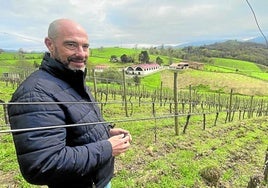Viñas de lujo en el Sueve y los amores de Galdós