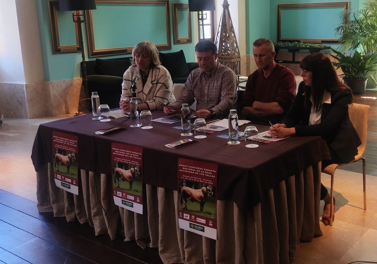 Más de 120 ganaderías participarán en el Concurso Nacional de la raza Asturiana de los Valles en Cangas del Narcea