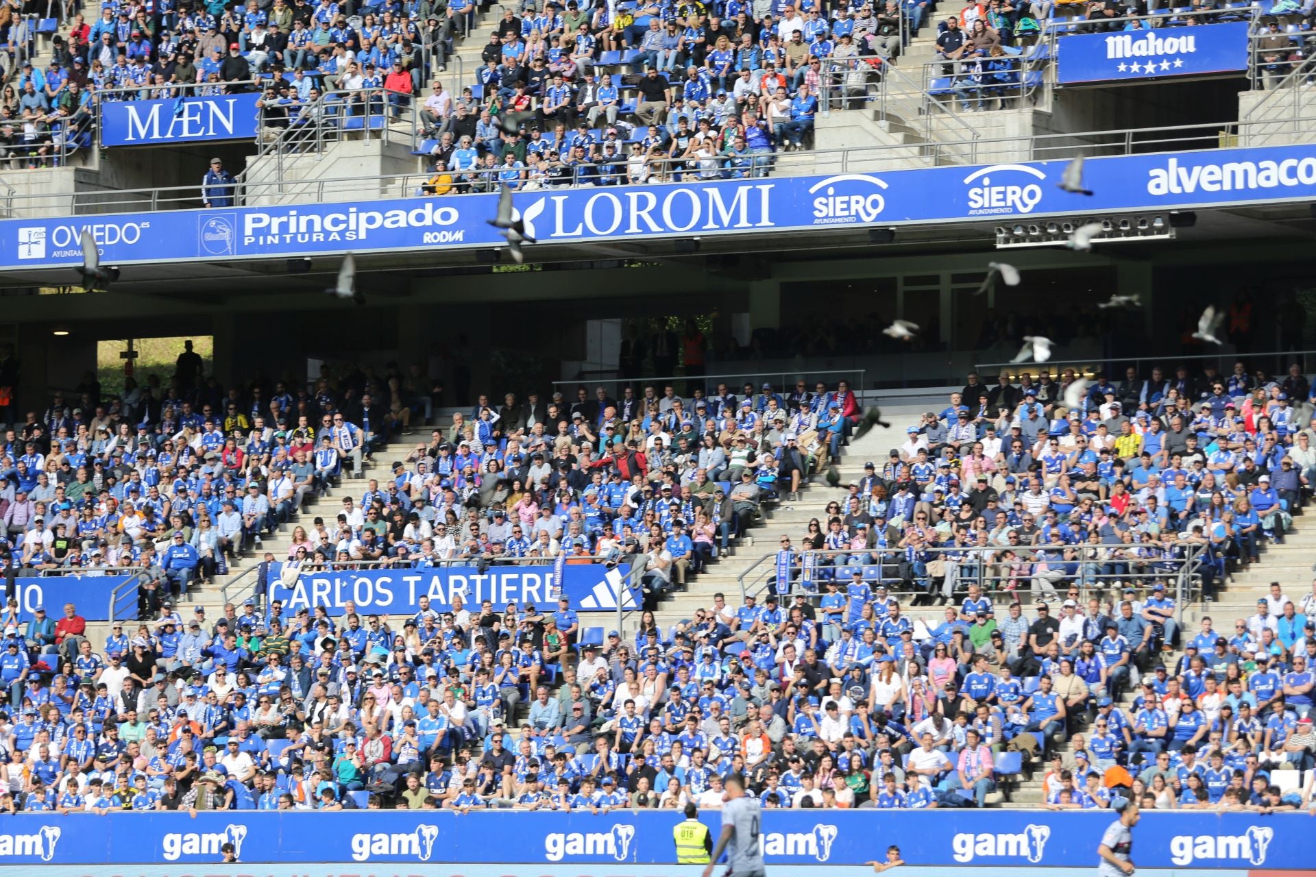 ¿Estuviste en el Real Oviedo - Levante? ¡Búscate en las fotos!