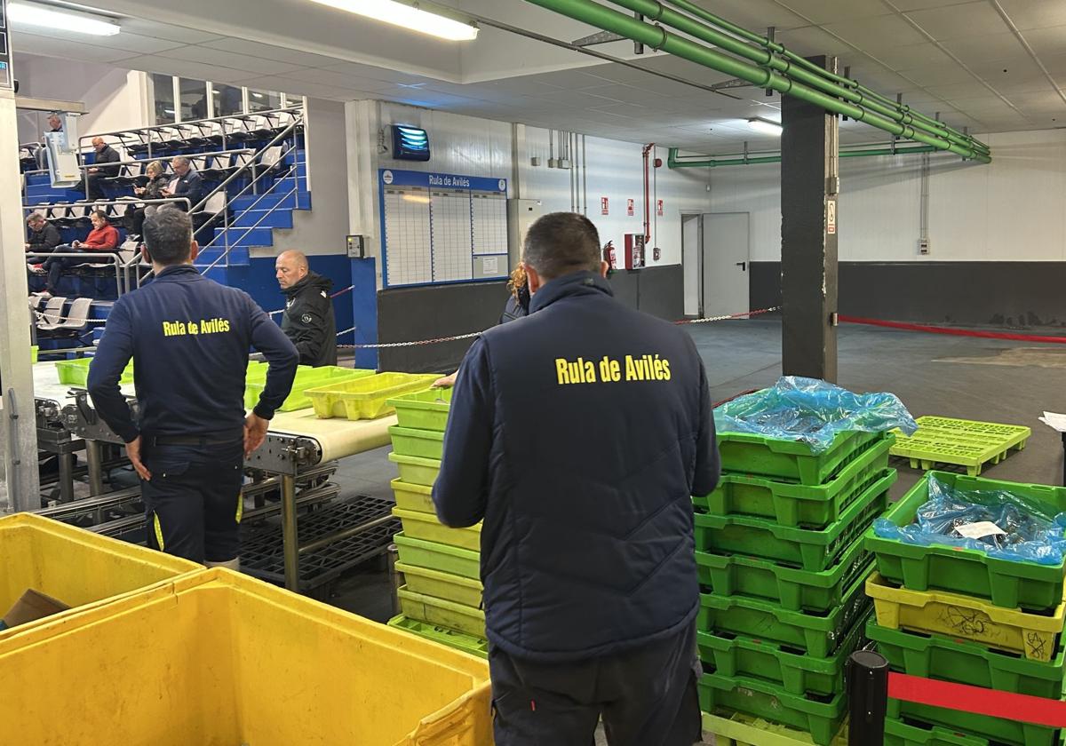 La rula de Avilés reabre con 50.000 kilos de pescado