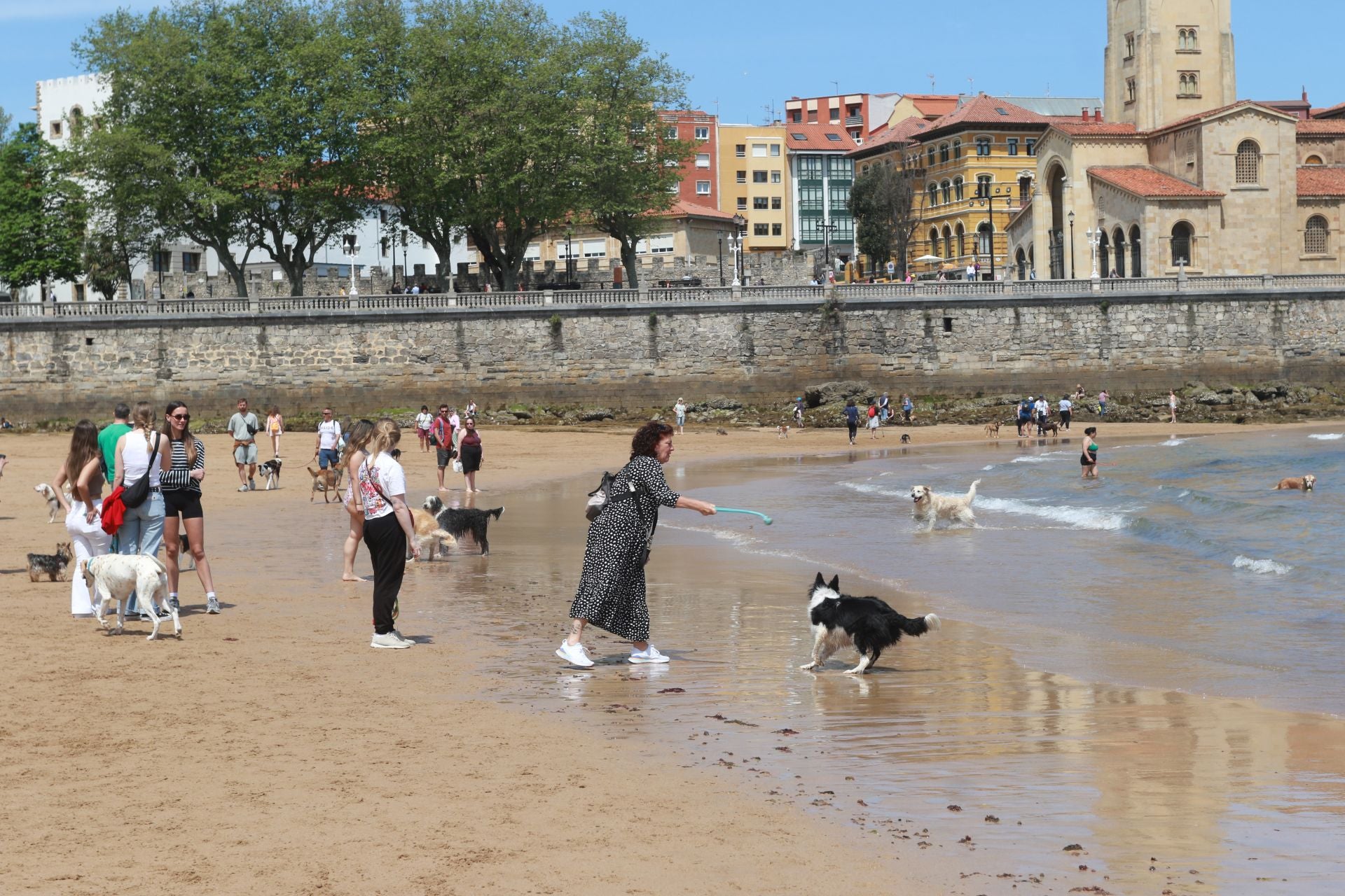 Fotos: Último día de perros en la arena en la playa de San Lorenzo