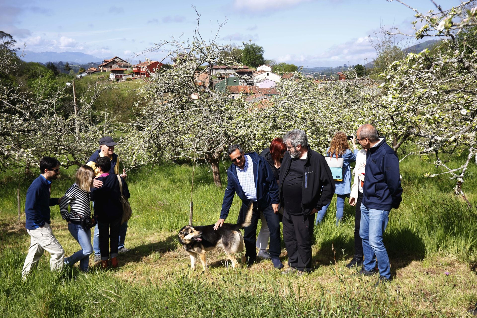 Visita guiada para conocer de cerca la floración de los manzanos en Sariego