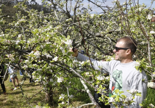 Uno de los turistas hace fotos a los manzanos en flor