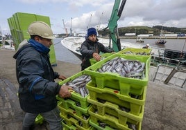 Dos trabajadores descargan en la lonja avilesina.