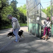 Dos voluntarios, David Acebal y Ana Requejo, sacan a pasear a 'Óliver' y 'Marimar'.