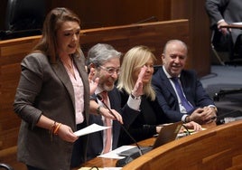 La portavoz de Vox, Carolina López, en un pleno de la Junta General, acompañada por los diputados de su grupo parlamentario.