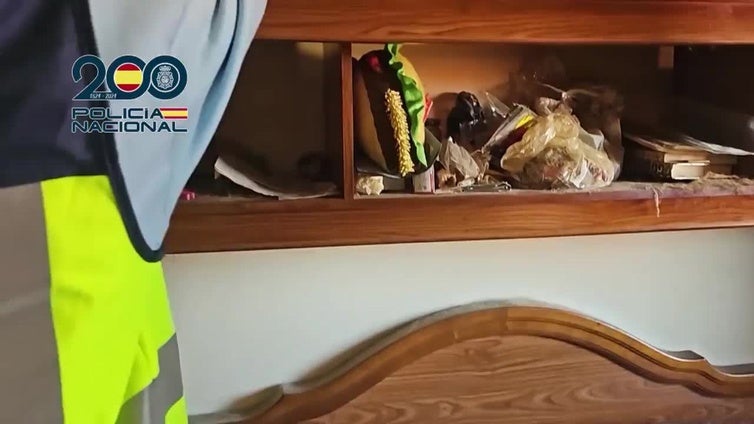 Abusaba de su nieta y almacenaba pornografía infantil: así fue su detención en Gijón