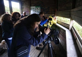 Los aficionados, en el observatorio de aves.