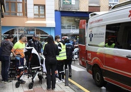 Policías y sanitarios atienden a la víctima del atropello.