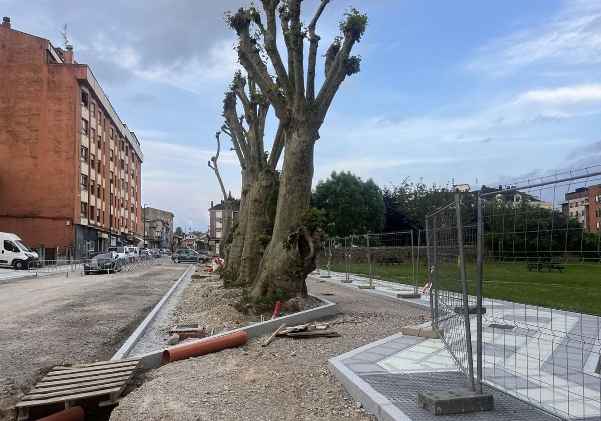 Coge forma la urbanización de Celleruelo y la acera que indultó a los árboles en Pola de Siero