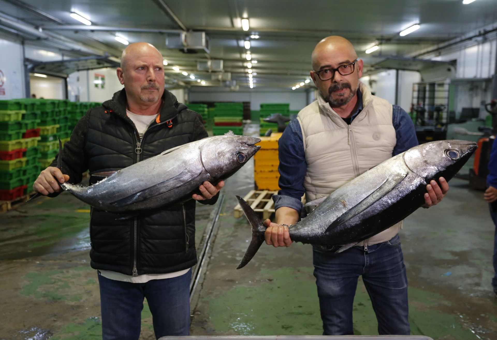 La subasta del primer bonito en Avilés, en imágenes