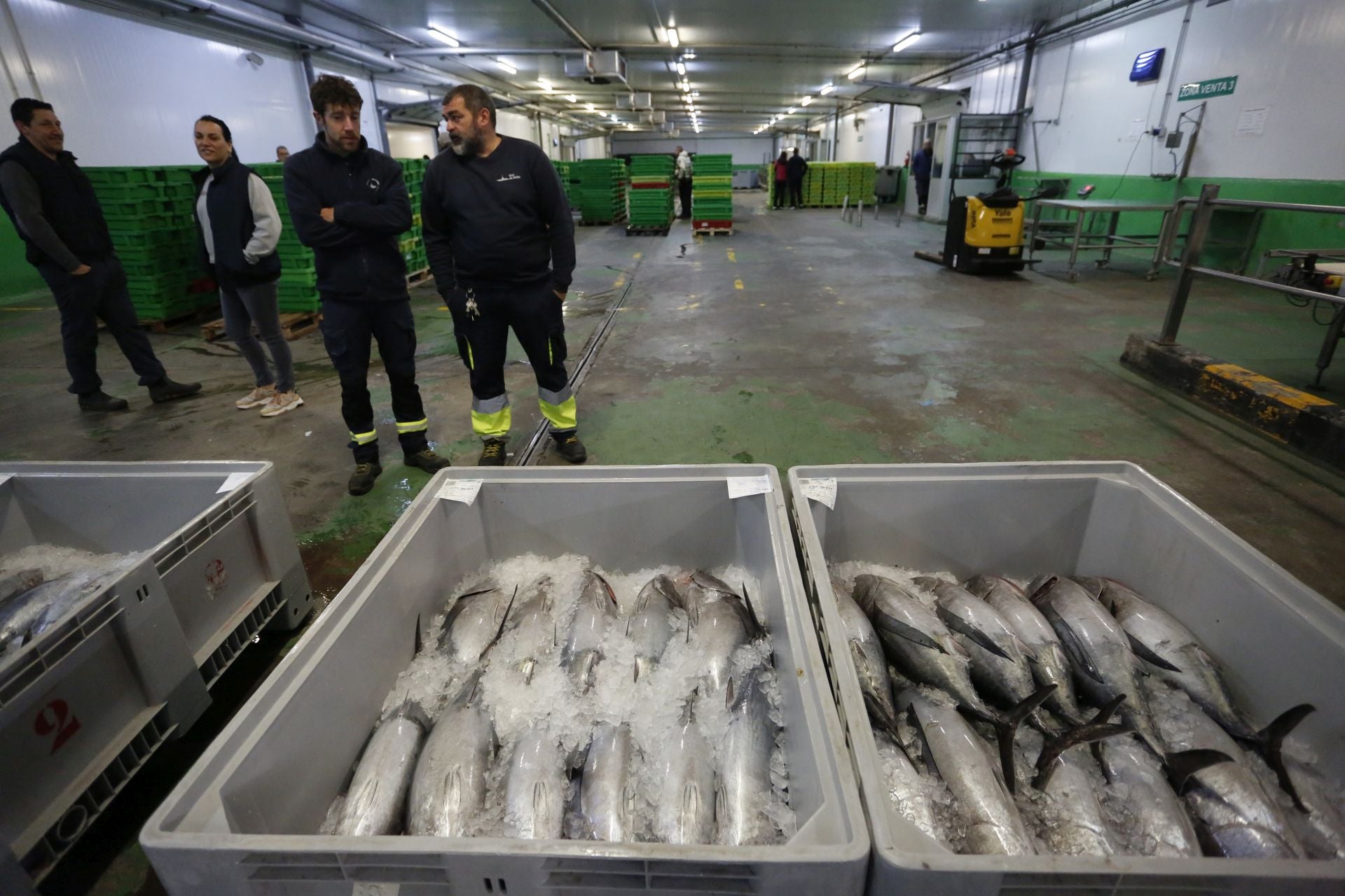 La subasta del primer bonito en Avilés, en imágenes