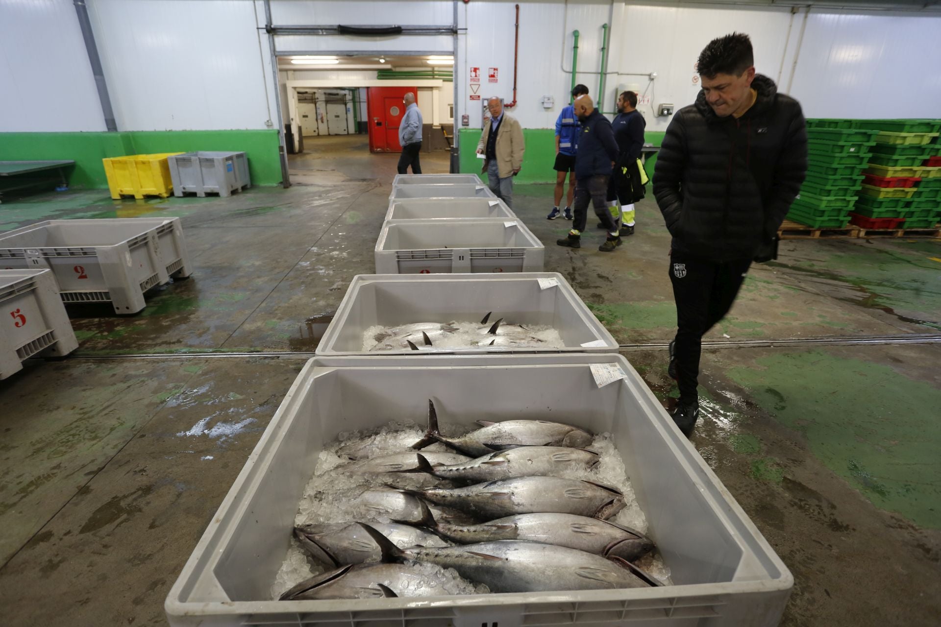 La subasta del primer bonito en Avilés, en imágenes