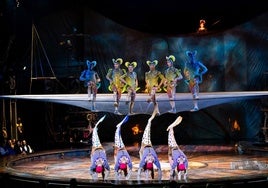 Acro net, KURIOS Gabinete de Curiosidades