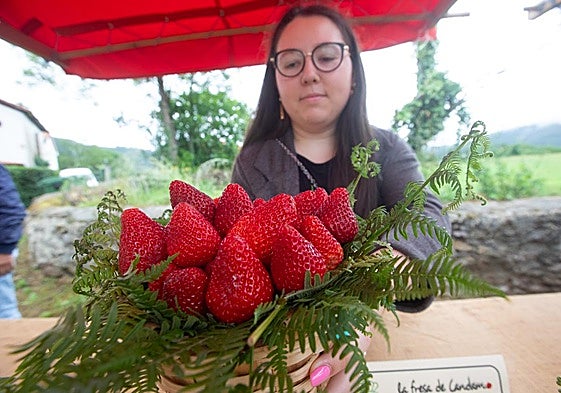 Fresas en el festival.