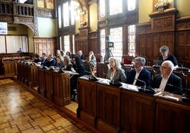 Varios consejeros, durante la comisión parlamentaria celebrada para la reforma del Estatuto de Autonomía que prevé avanzar hacia la oficialidad.