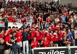 Jugadores, cuerpo técnico y afición, unidos en la celebración del pase al Campeonato de España infantil.