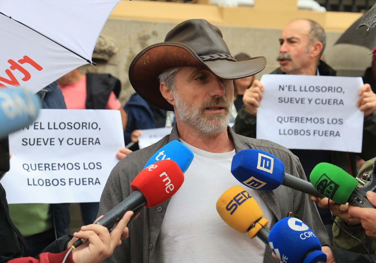 Imagen de Galeria 