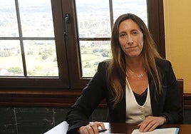 Pumariega: « Se han ejecutado el 80% de las medidas del pacto de concertación»