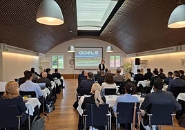 Una de las conferencias realizadas este martes en el marco de la convención de GDELS en Oviedo.