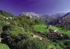 Montes de Peñamayor
