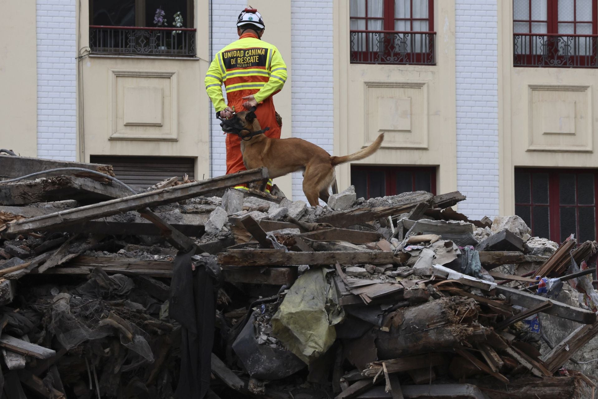 Simulacro de búsqueda de personas entre escombros en el edificio de la plaza de Europa, en Gijón