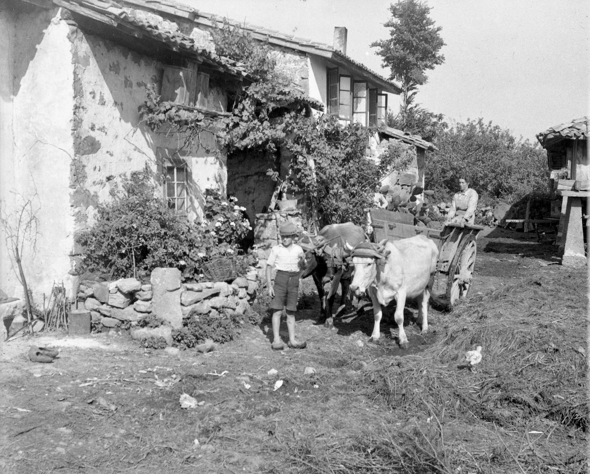 Más historia de Asturias rescatada: las fotografías de Foto Ángel que viajan al siglo pasado