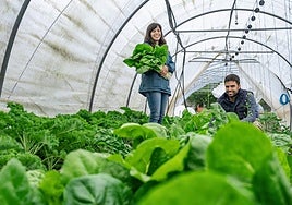 Producción ecológica: la apuesta de los jóvenes del mundo rural asturiano