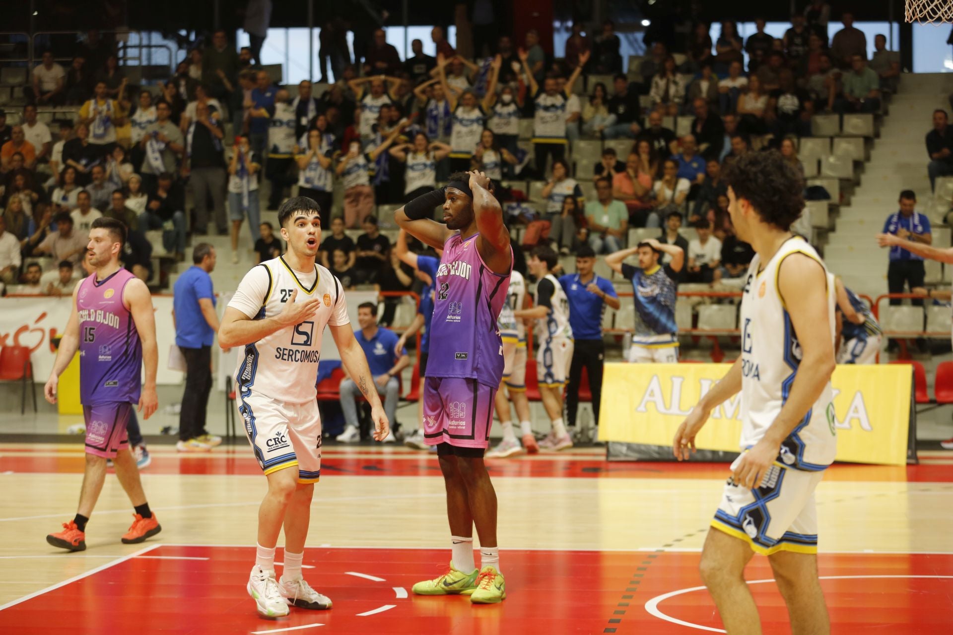 Las mejores imágenes del Círculo Gijón Noega Baloncesto - Sercomosa Molina Basket