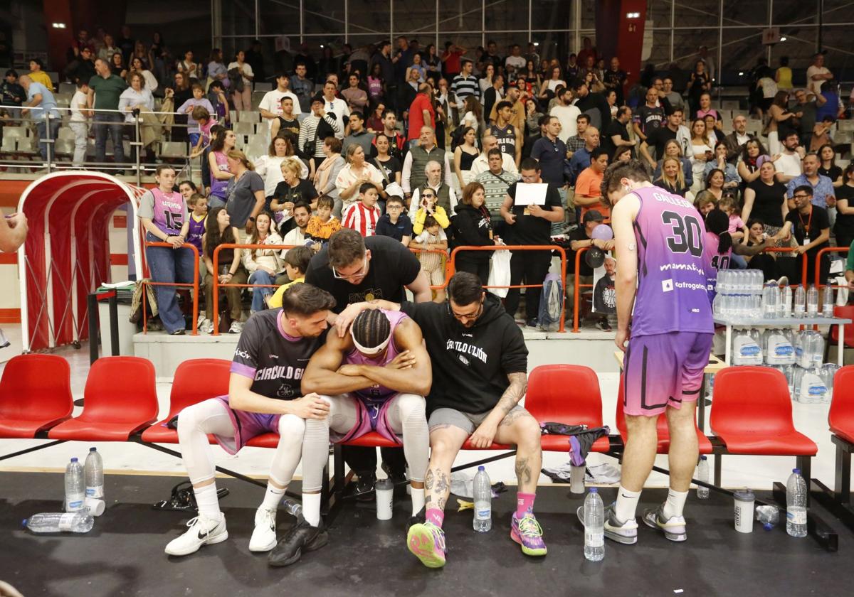 Las mejores imágenes del Círculo Gijón Noega Baloncesto - Sercomosa Molina Basket