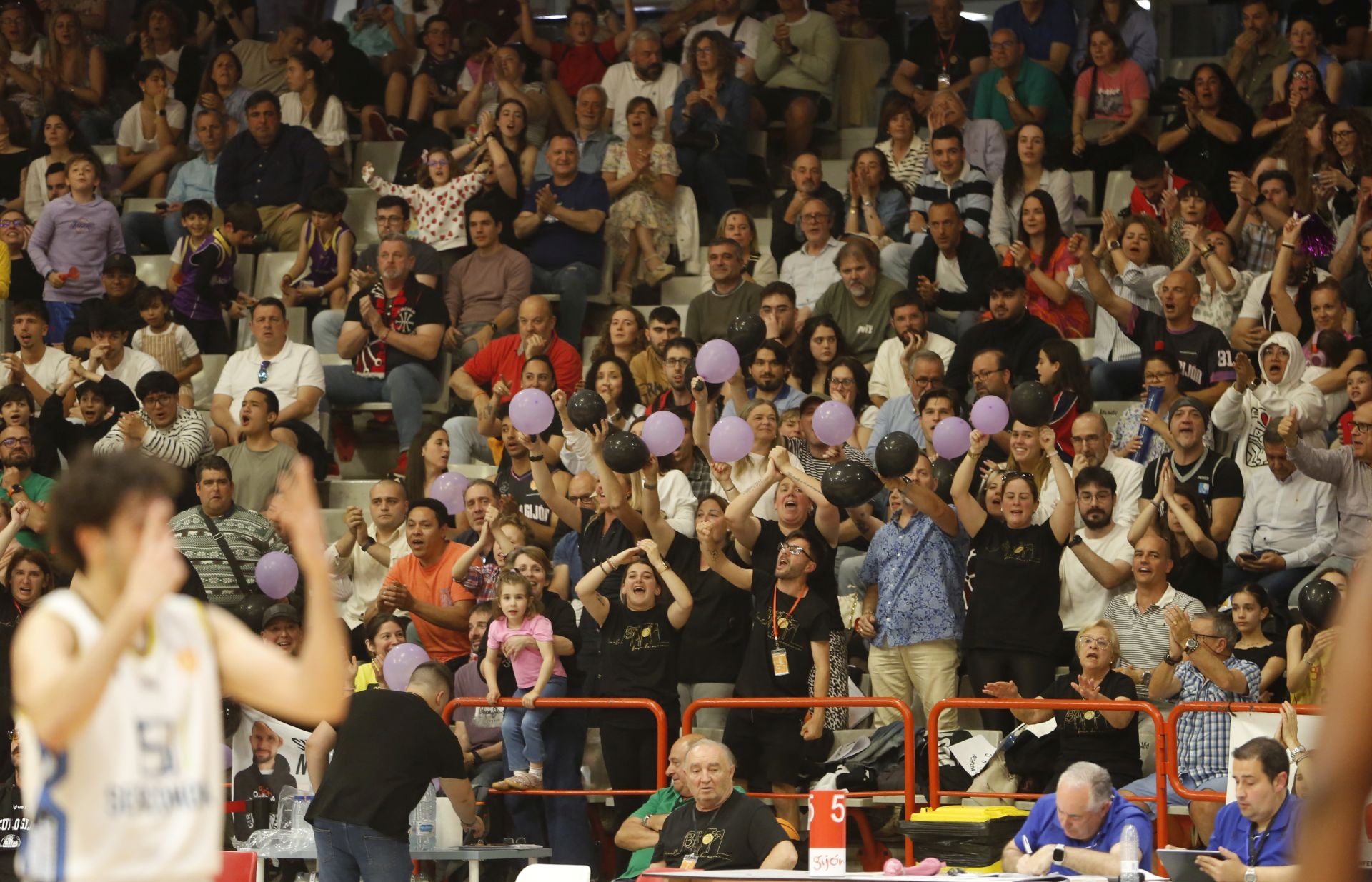Las mejores imágenes del Círculo Gijón Noega Baloncesto - Sercomosa Molina Basket