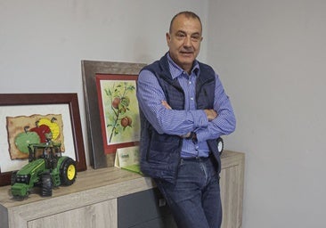 «Si no bebemos más sidra asturiana, en diez años nos quedamos sin pomaradas en la región»
