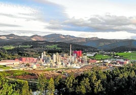 Biofábrica del grupo Ence en Navia, con capacidad para generar energía renovable con biomasa, térmica y eléctrica.