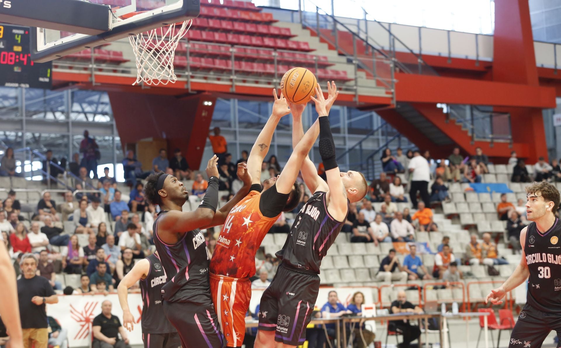 Histórico ascenso del Círculo Gijón Baloncesto: las fotos de una brillante conquista